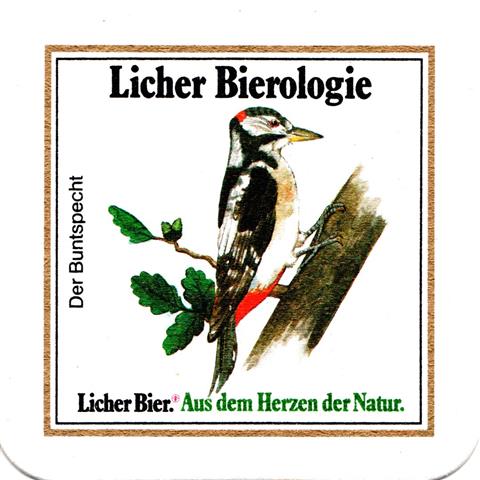 lich gi-he licher biero vgel eck 2b (quad185-der dompfaff)